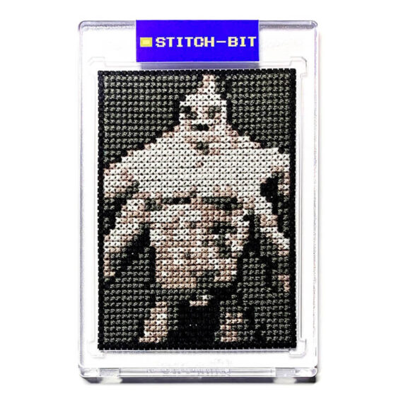Mortal Kombat Nintendo Game Boy retro video game cross-stitch STITCH-BIT by Bryan.